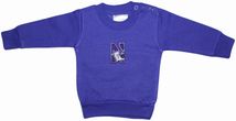 Northwestern Wildcats Sweatshirt