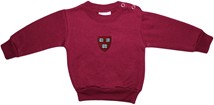 Harvard Crimson Veritas Shield Sweatshirt